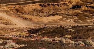 《生化危机9》新PV现＂红色子弹＂ 玩家期待艾达王回归